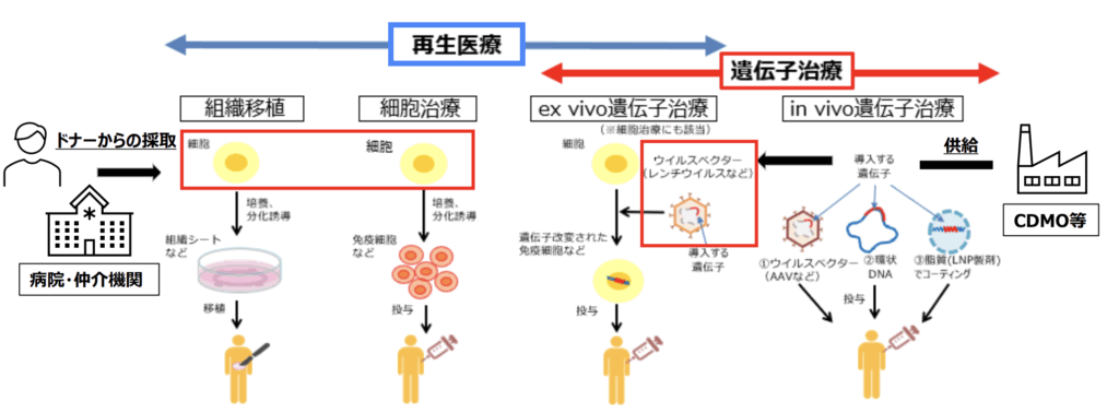 バイオテクノロジーの産業化｜再生医療・遺伝子治療の未来！国産技術の